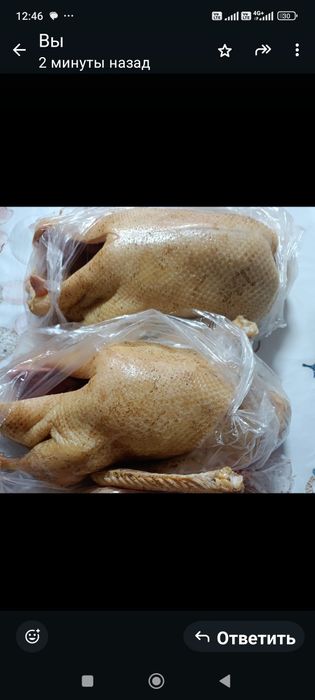 Продам мясо, тушки гусей