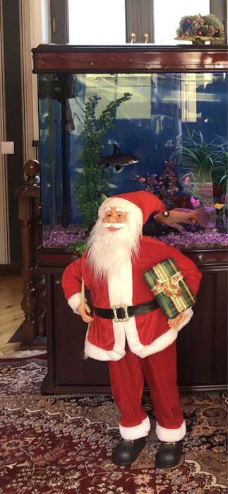 Дед мороз с ёлкой