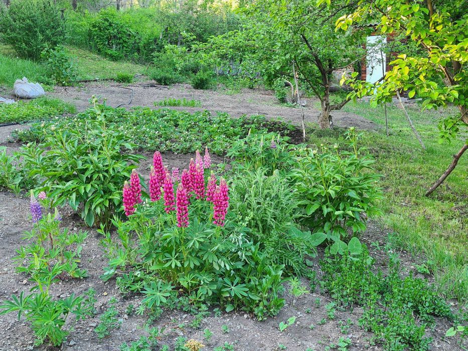 Продам дачу с/о Берёзка,  р-н ГЭС