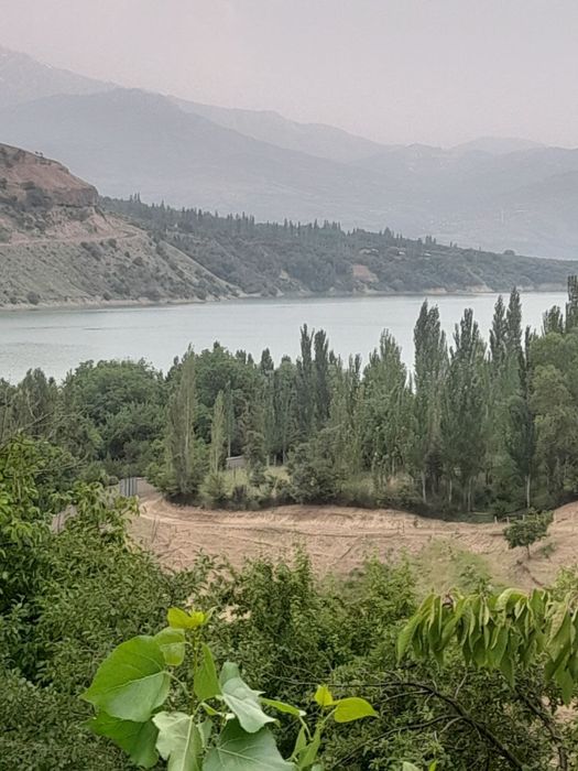 Дача продаётся срочно 3.5сотих.Dacha qurish uchun yer sotiladi Srochna