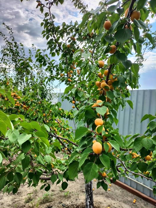 Продается  очень уютный дом!