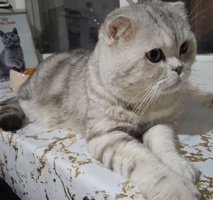 Серёжа желает познакомиться)