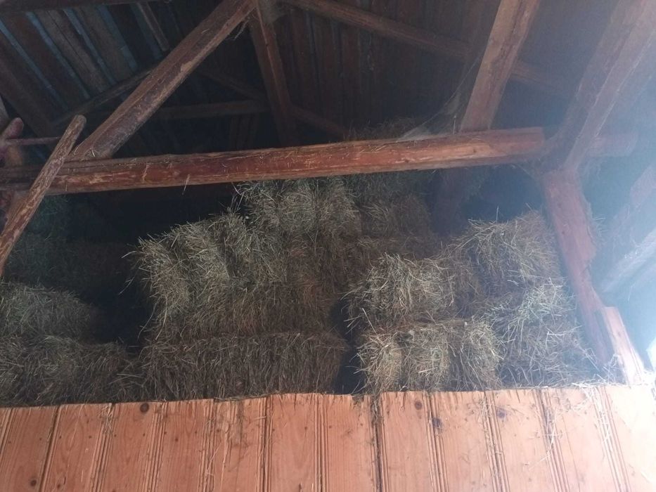 Baloti din otava si fan