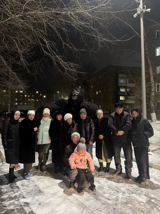 АНИМАТОР / Горилла/ Кинг конг