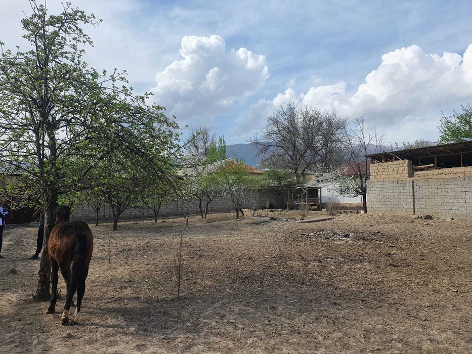 Срочно Акташ Сайлык 10 соток Oqtosh Soyliq