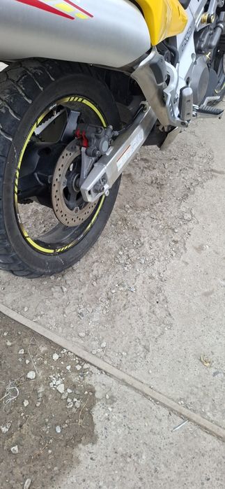 Vand suzuky v strom 1000 dl.