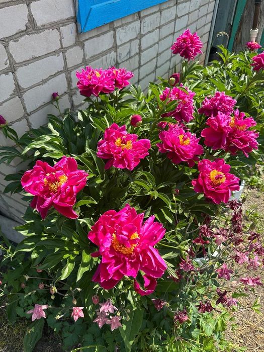 Дачный участок продам