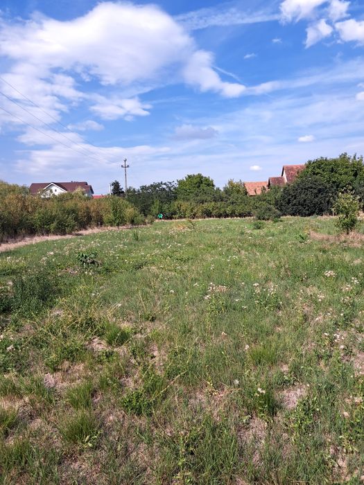 Teren intravilan Mandruloc