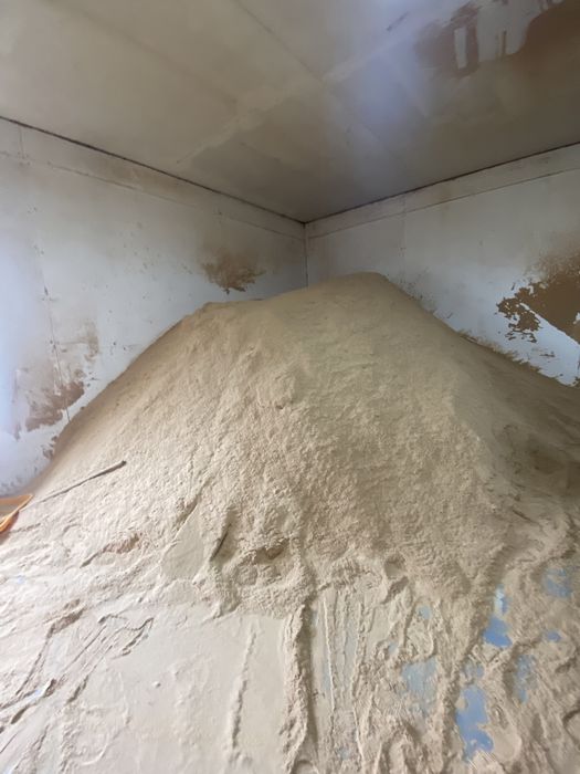 опелька бесьплатно