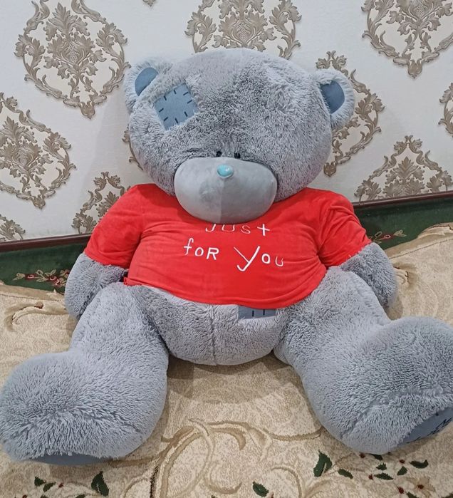 Kotta Teddy o'yinchoq