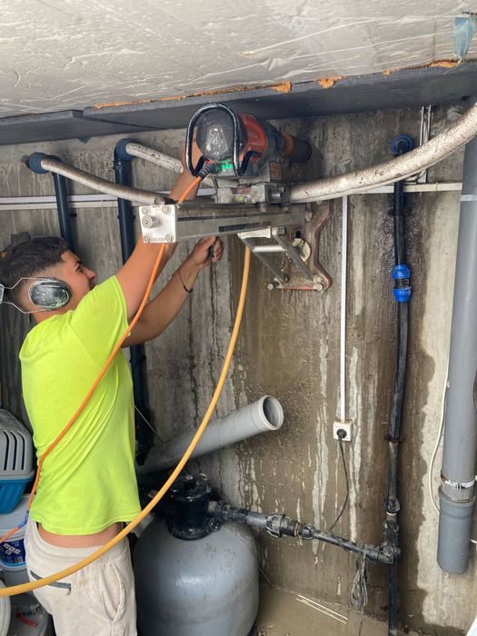 Carota carotat gauri