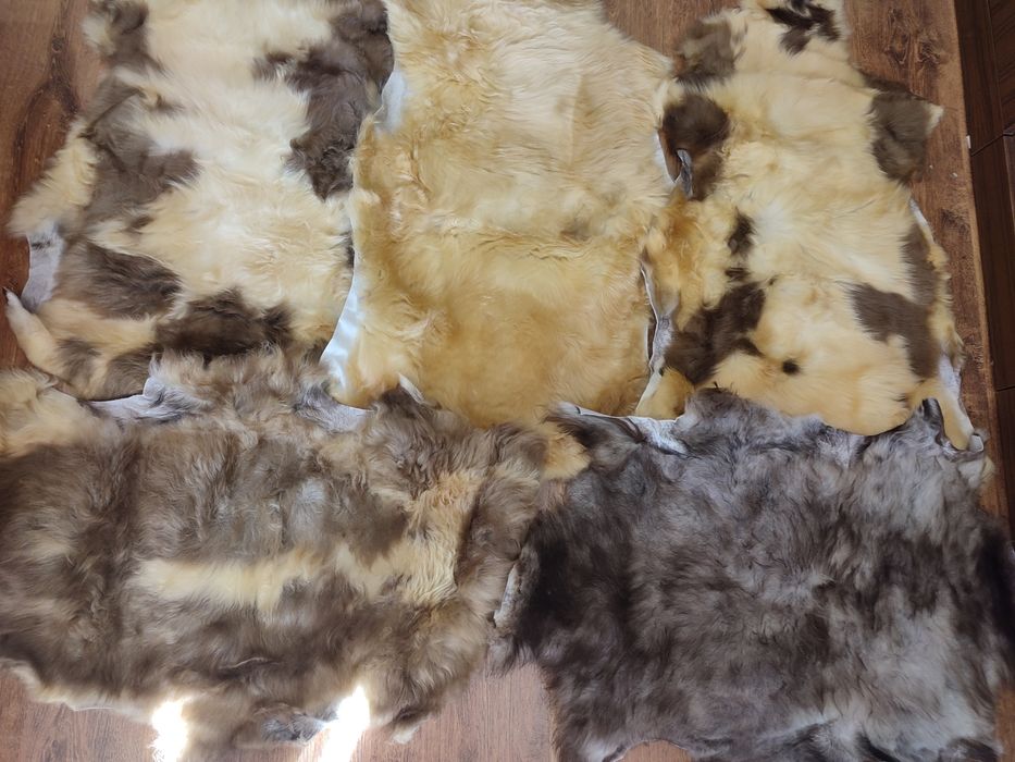 Агнешки кожи - преработени