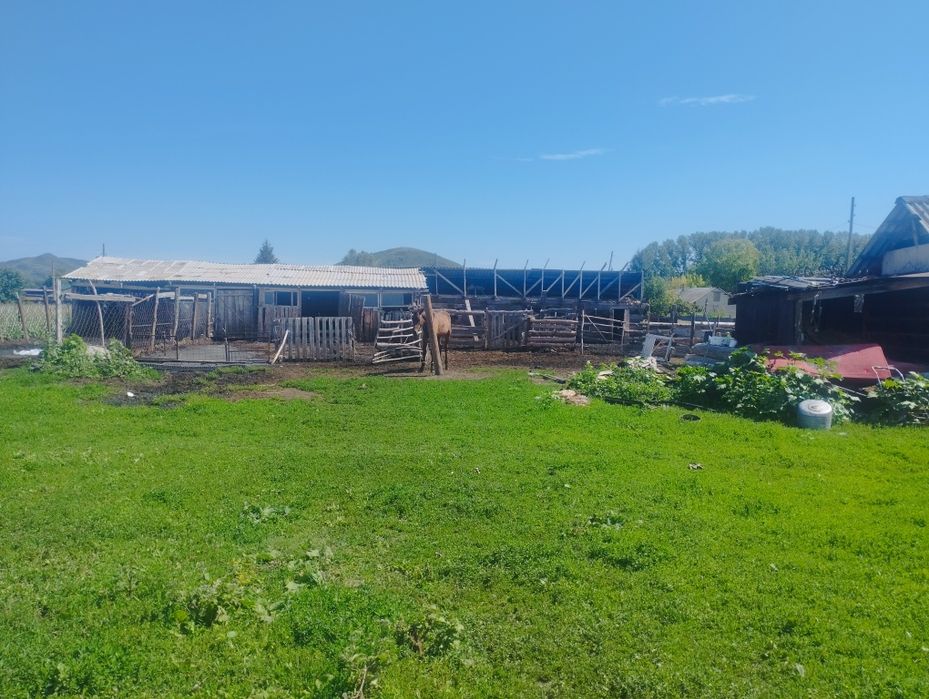 Срочно продам дом на Винном
