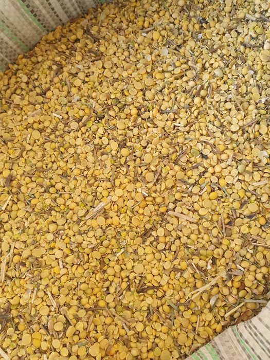 Продам соевую сечку