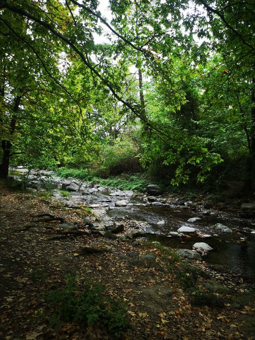 Парцел 1 линия река  с. Първенец
