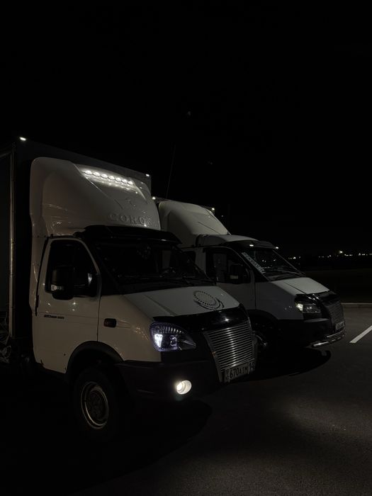 Экибастуз Газель