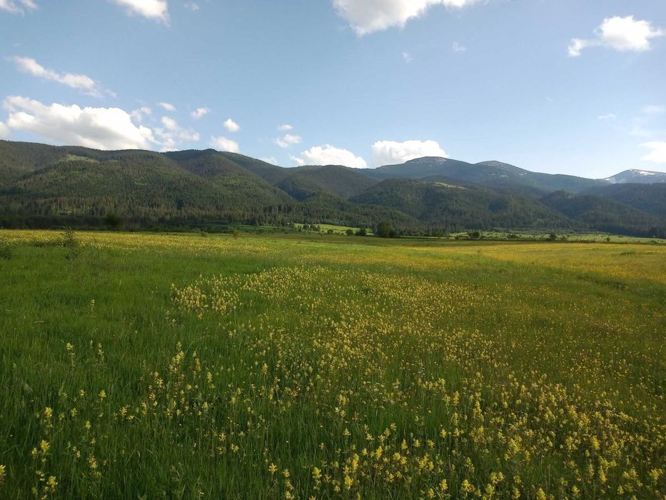 Земя в планински район - село Говедарци