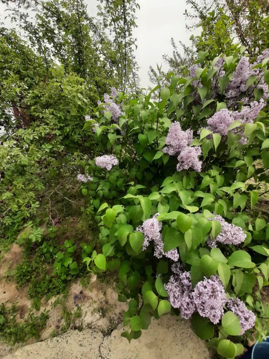 Продам дом мкр Водников 2,рядом школа Бином