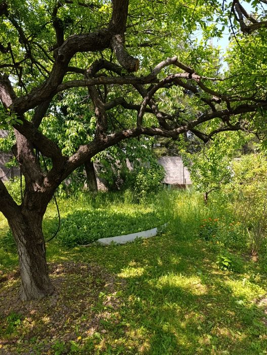 Продаётся своя дача