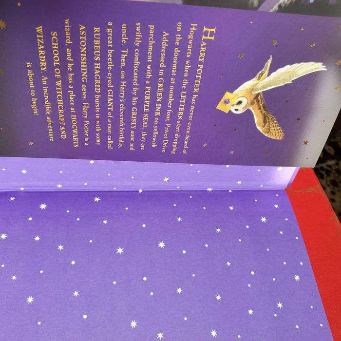 Harry Potter Box Set: The Complete Collection (Children’s Hardback)