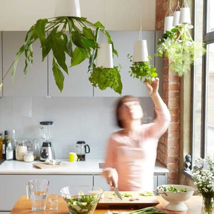 Ghiveci de flori de sus in jos. Ideal pentru cadou onomastica!