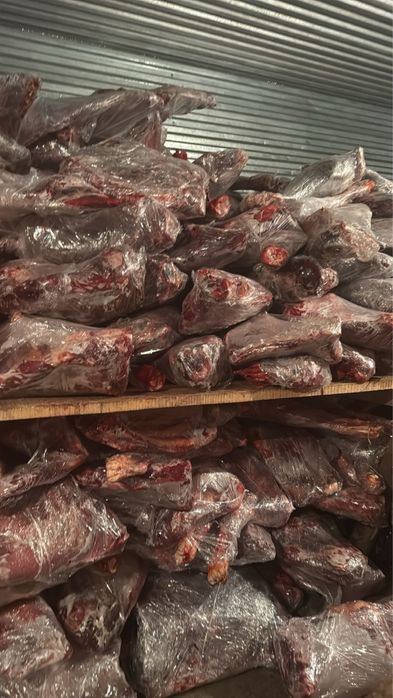 Колбасное мясо оптом, 20 тонн.