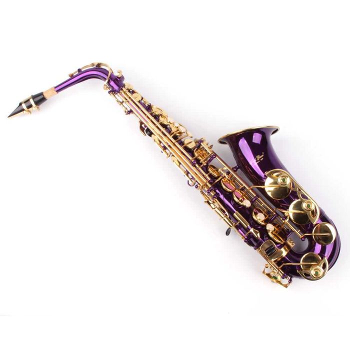 Saxofon Alto Karl Glaser LILA/MOV+ AURIU NOU curbat Saxophone Germania