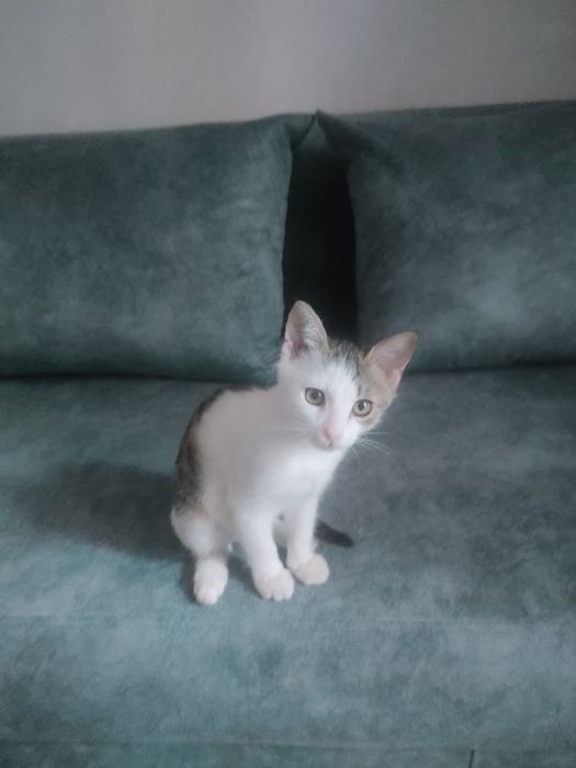 Культурный мальчик