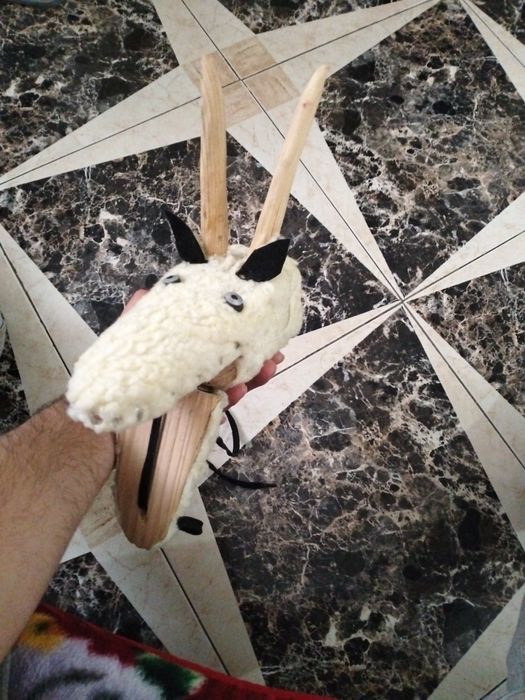 Vând bot de capra învelit 200 de lei