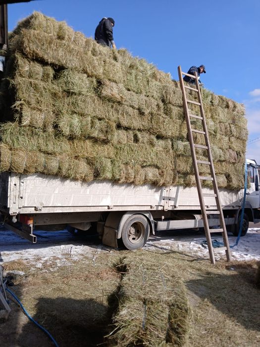 Baloții de fân si otavă ROTUNZI SAU PĂTRAT