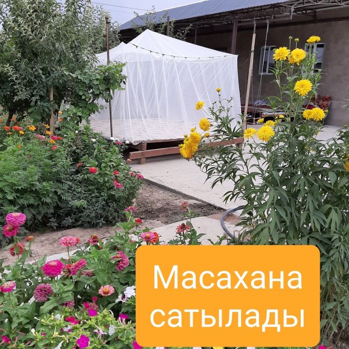Масахана на заказ