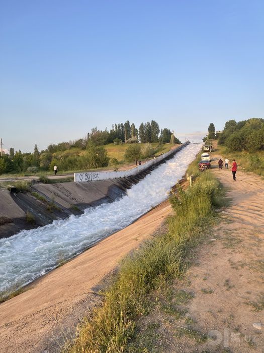 Palatka arendaga berladi 200 mindan