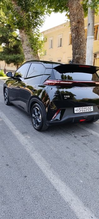 BYD Seagull 2024