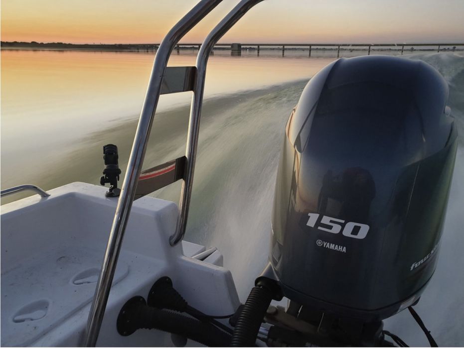 Yamaha F150 commercial В НАЛИЧИИ