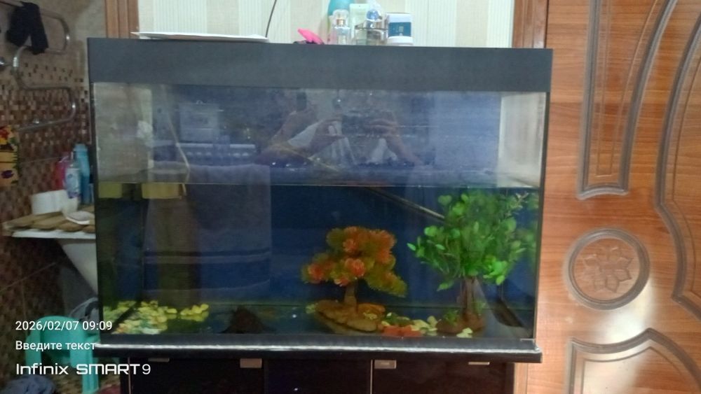 Akvarium va shkafchik