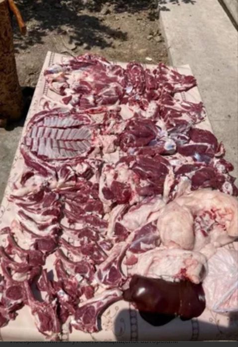 Qoy mol soyish xzmati