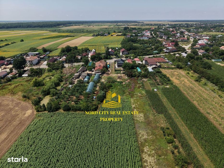 Teren 2.700 mp Ciocănești - Urziceanca | La asfalt