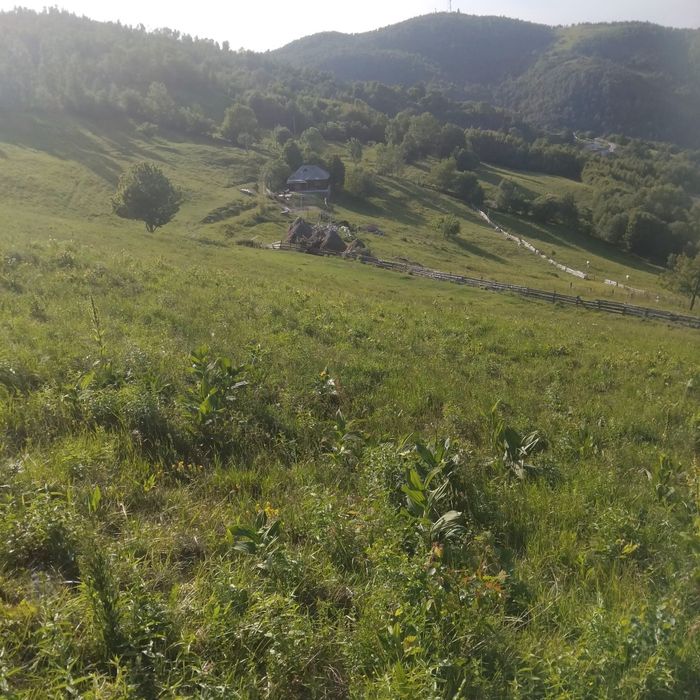 Teren intravilan in Plopi com. Valea Ierii