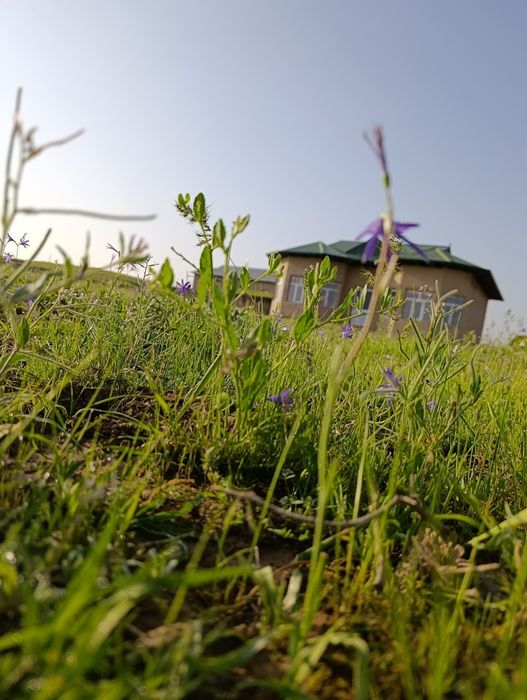 Уй-жой ховли сотилади