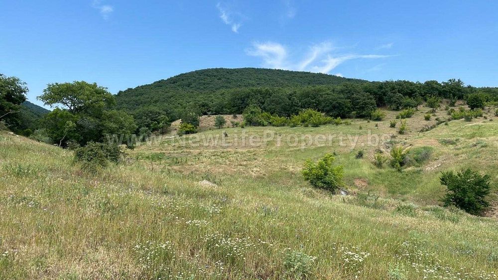 Продава се Парцел в к.к. Слънчев бряг - 1303 кв.м за 45 €/кв.м - Снимка #5