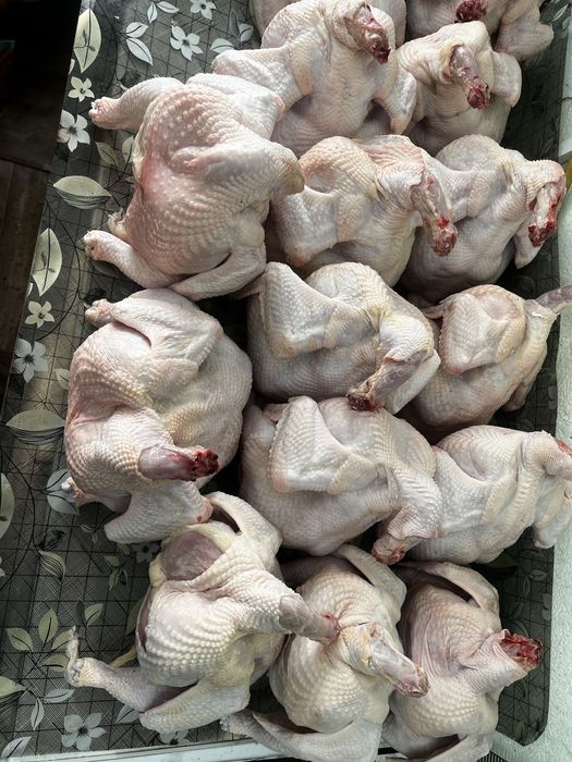 Мясо бройлера домашнего