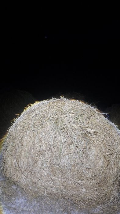 Сено,тюки,сено,джем