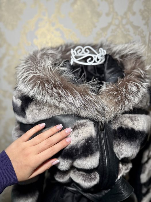 Blana chinchilla superba