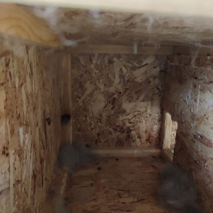 Quyonga in.Holati yangi .