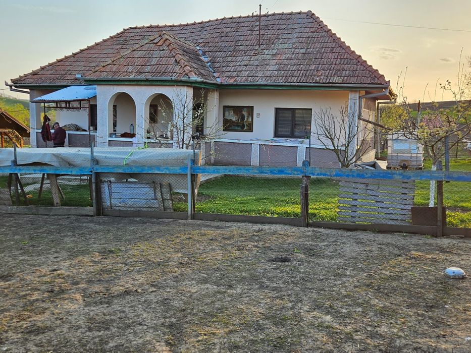 Vand tigla pentru casa