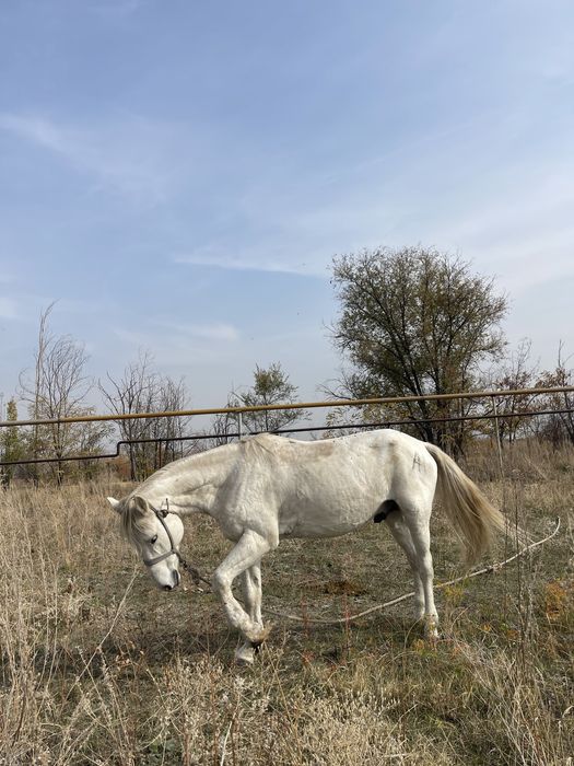 Анасы мен баласы туралы порно видеоларды қараңыз