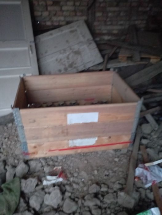 Жожа катак хорож ини