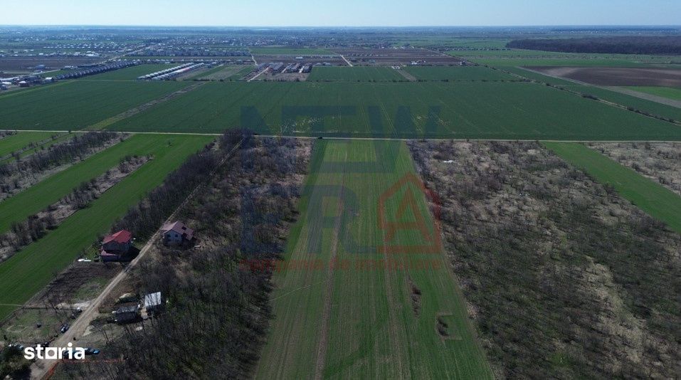 Teren de vanzare, Sabareni