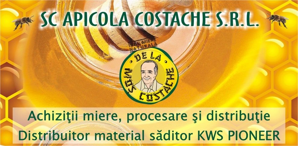 Tipar offset & digital: Pliante, Fluturasi, Formulare, Carti de vizita