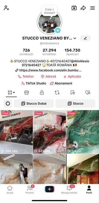 Stucco Veneziano 2025!! !Decoratiuni de lux in toata Romania!!!
